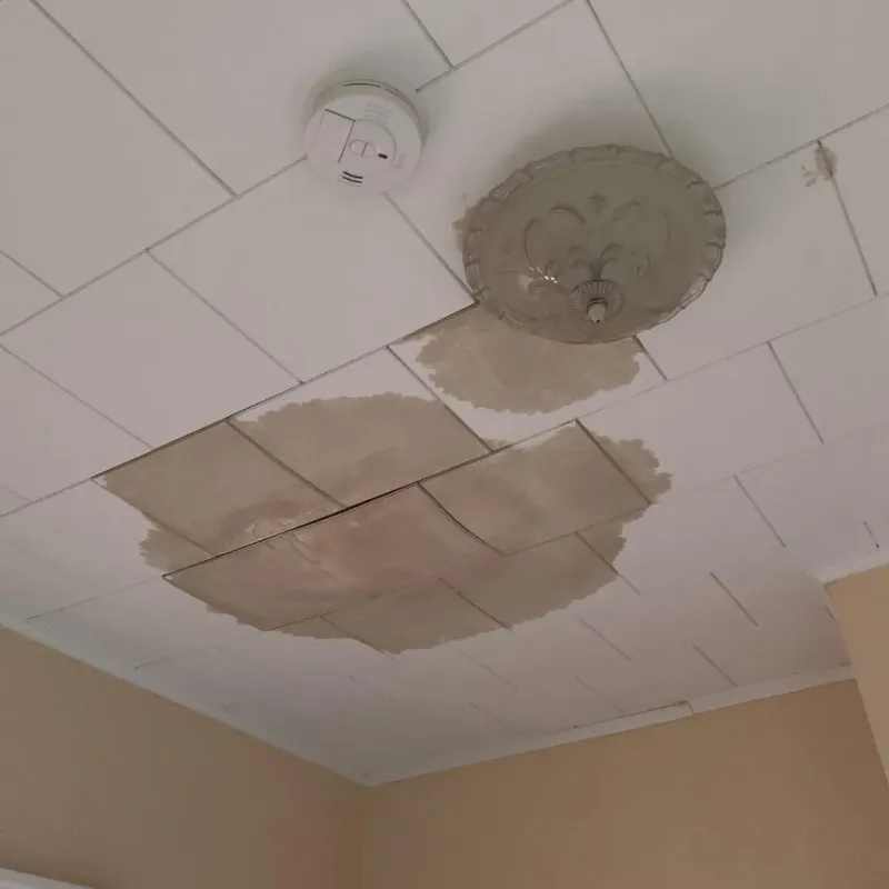 Ceiling Water Damage Repair in University Center, VA