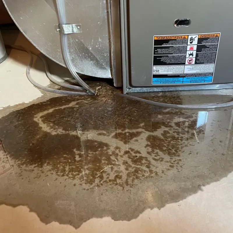 Pipe Burst and Leak Restoration in University Center, VA