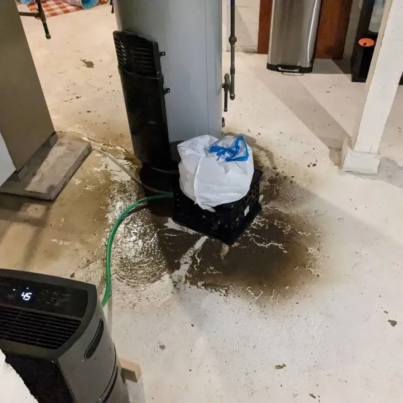 Sewage Backup Cleanup Service in University Center, VA